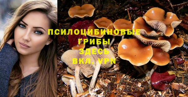 прущий лед Алексеевка