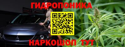 твердый Сланцы