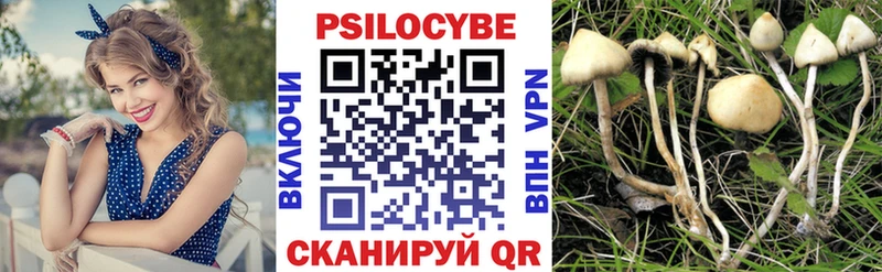 Псилоцибиновые грибы Psilocybe купить закладку кракен ONION Санкт-Петербург