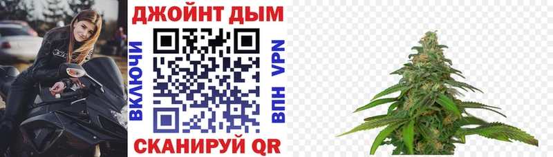 купить наркоту  Санкт-Петербург  МАРИХУАНА план 